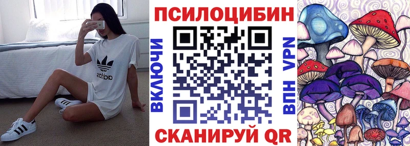 где продают наркотики  Янаул  Псилоцибиновые грибы Cubensis 